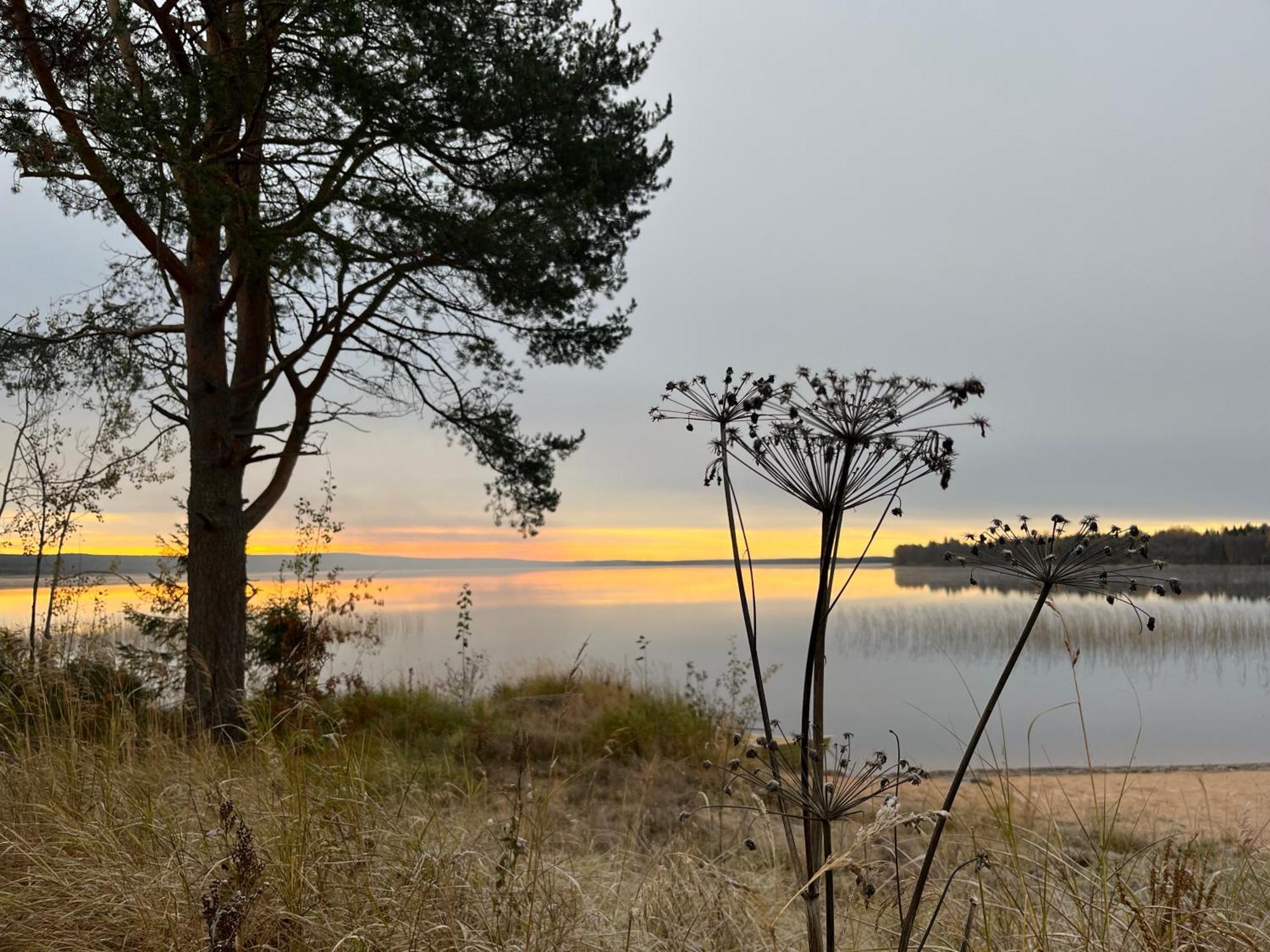 Ahosen Lomamoekit Villa Vikajärvi Dış mekan fotoğraf
